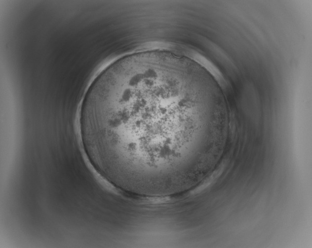 X0000111941055200908101158