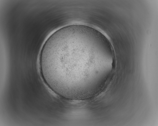 X0000111941056200908101158