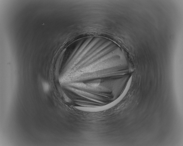 X0000111941057200908101157