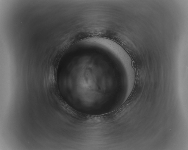 X0000111941058200908101157