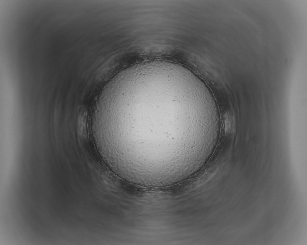 X0000111941059200908101157