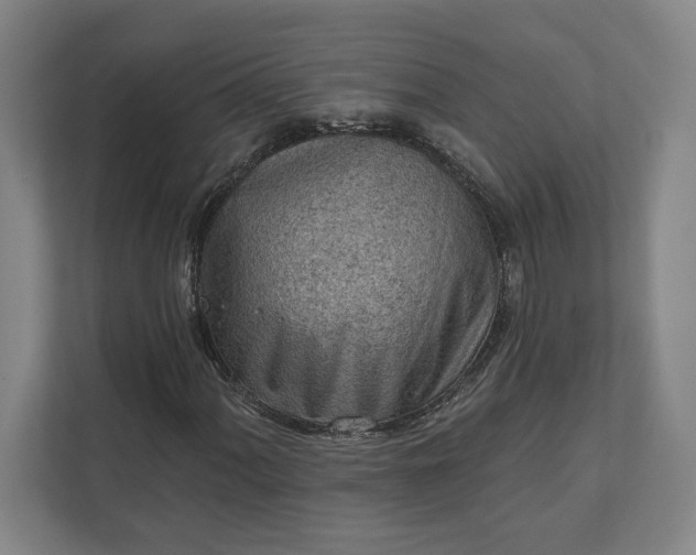 X0000111941060200908101157