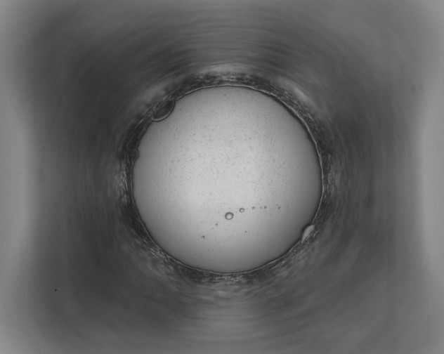 X0000111941062200908101157