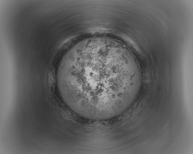 X0000111941063200908101157