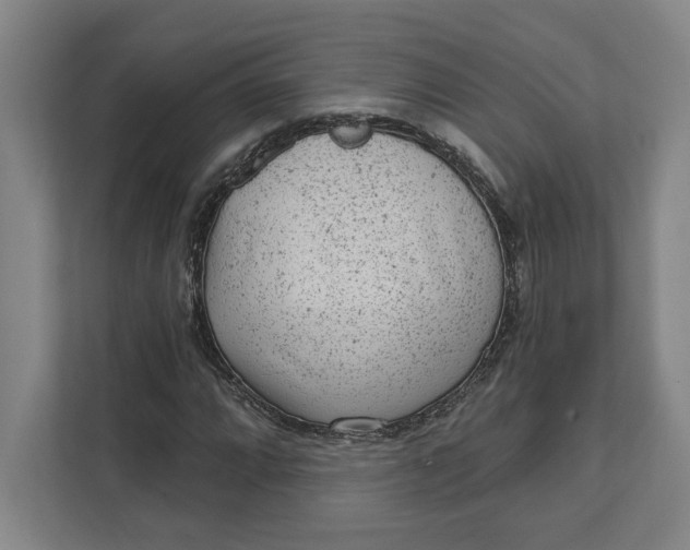 X0000111941064200908101157