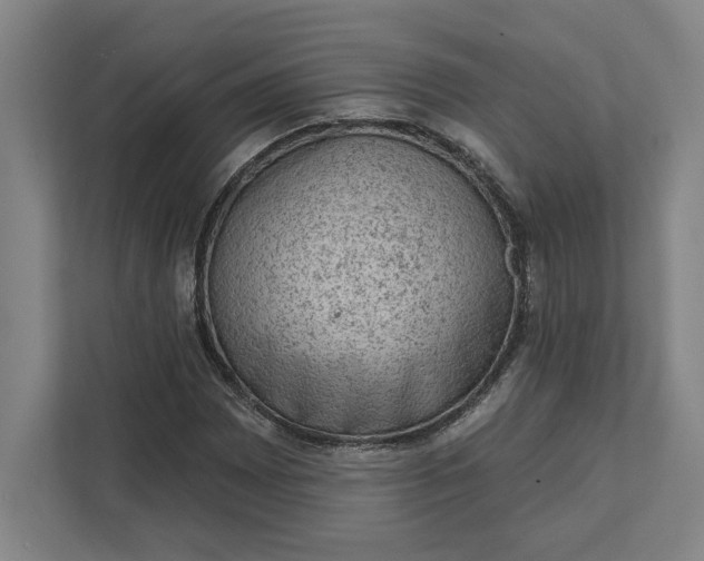 X0000111941065200908101157