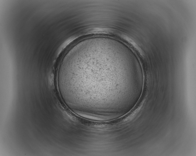 X0000111941066200908101157