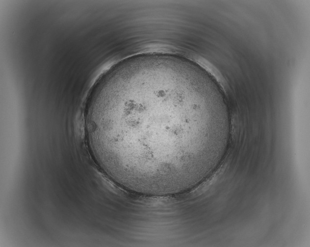 X0000111941067200908101157