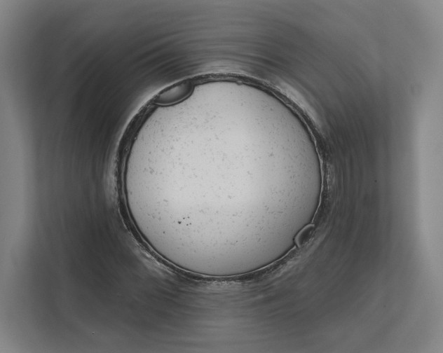 X0000111941068200908101157