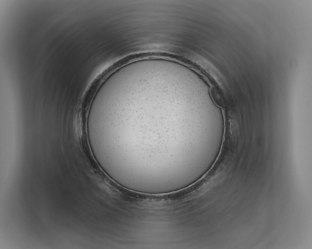 X0000111941069200908101157