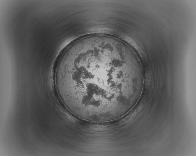 X0000111941071200908101157