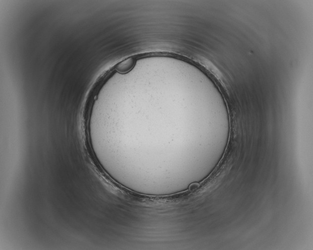 X0000111941072200908101157