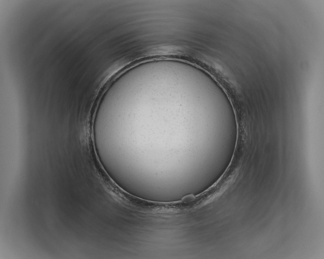 X0000111941073200908101157