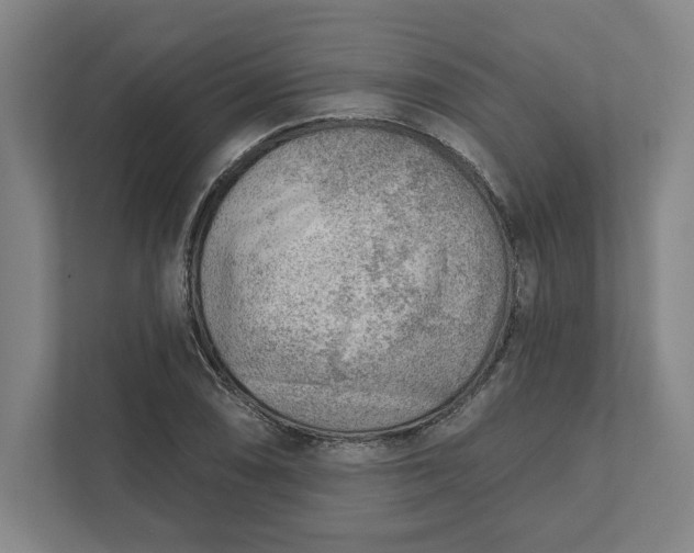 X0000111941074200908101157