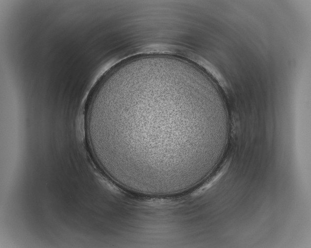 X0000111941075200908101157