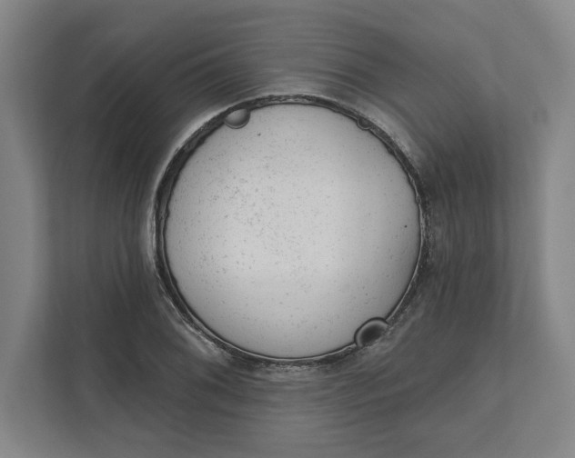 X0000111941076200908101157