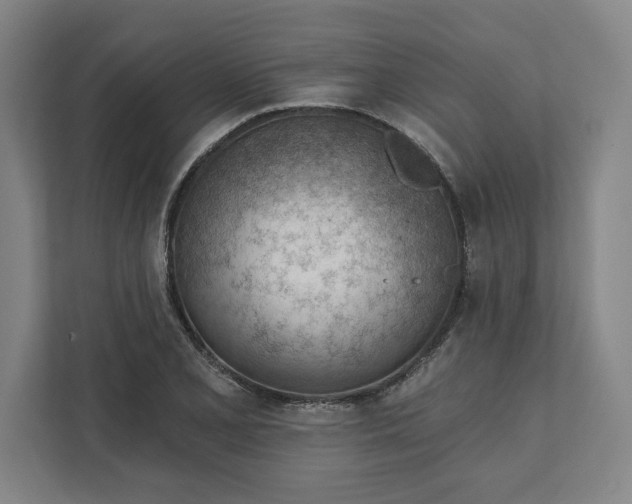 X0000111941077200908101157