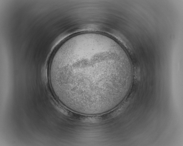 X0000111941078200908101157