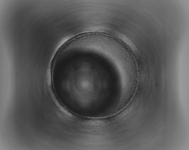 X0000111941079200908101157