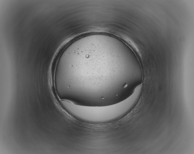 X0000111941080200908101157