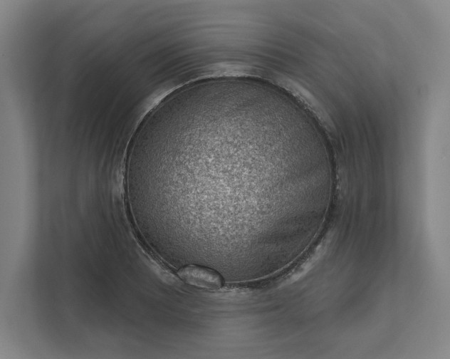 X0000111941081200908101157