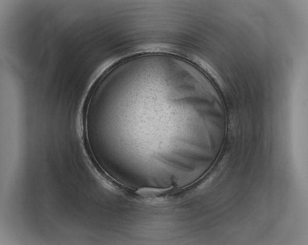 X0000111941082200908101157