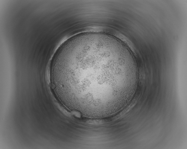 X0000111941083200908101157