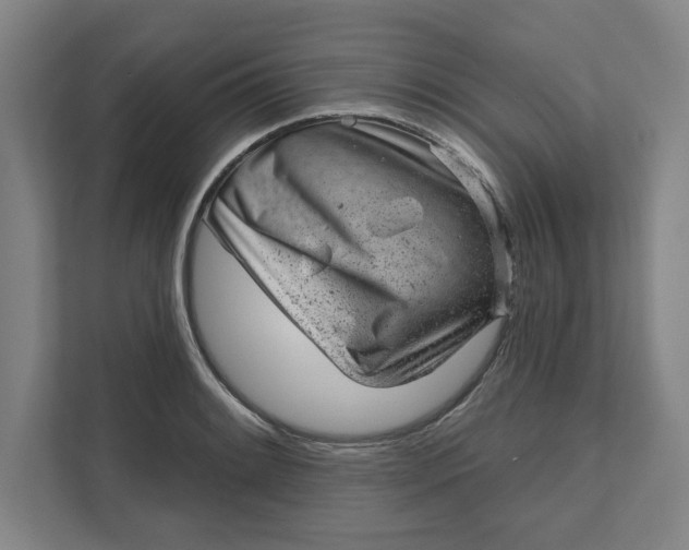 X0000111941084200908101157