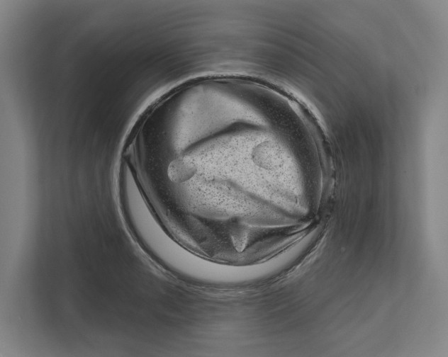 X0000111941085200908101157