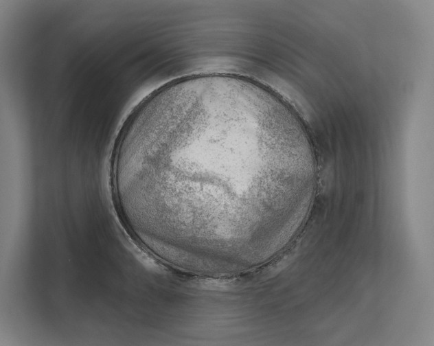 X0000111941086200908101157