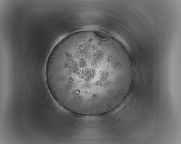 X0000111941087200908101157