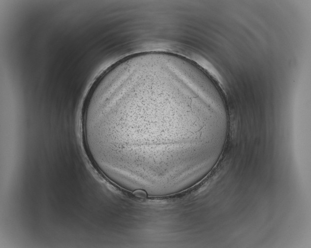 X0000111941088200908101157