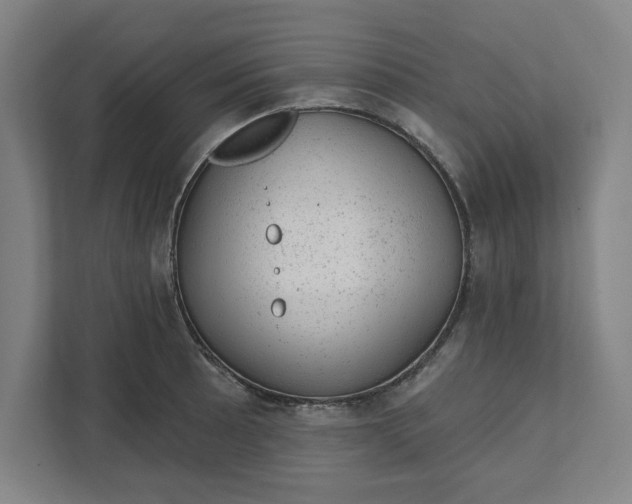 X0000111941089200908101157