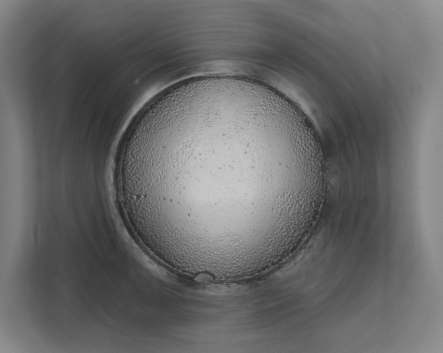 X0000111941091200908101157