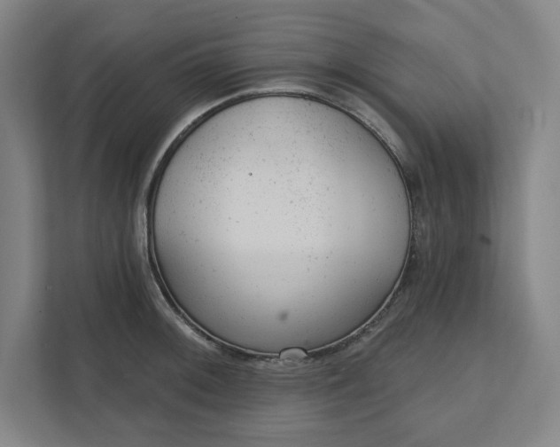 X0000111941092200908101157