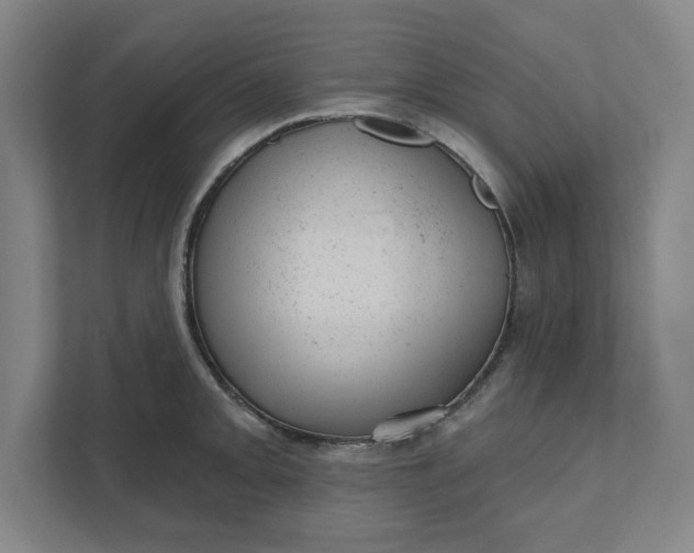 X0000111941093200908101157