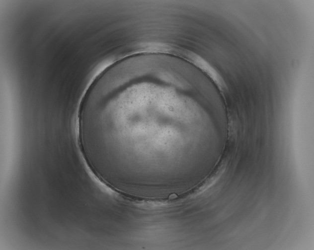 X0000111941095200908101157