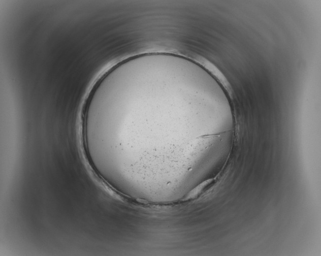 X0000111941096200908101157