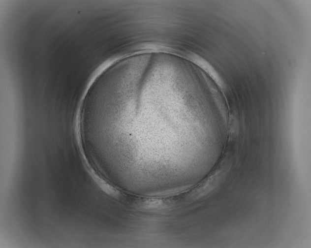 X0000111941098200908101157