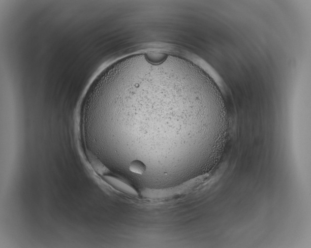 X0000111941099200908101157