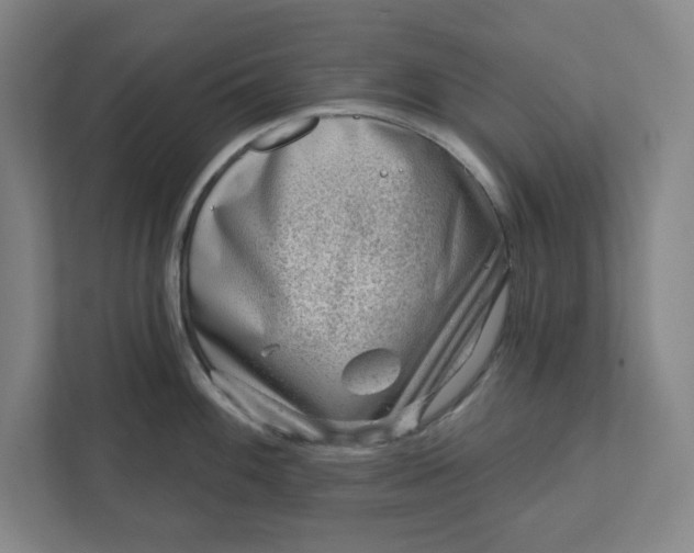 X0000111941100200908101157