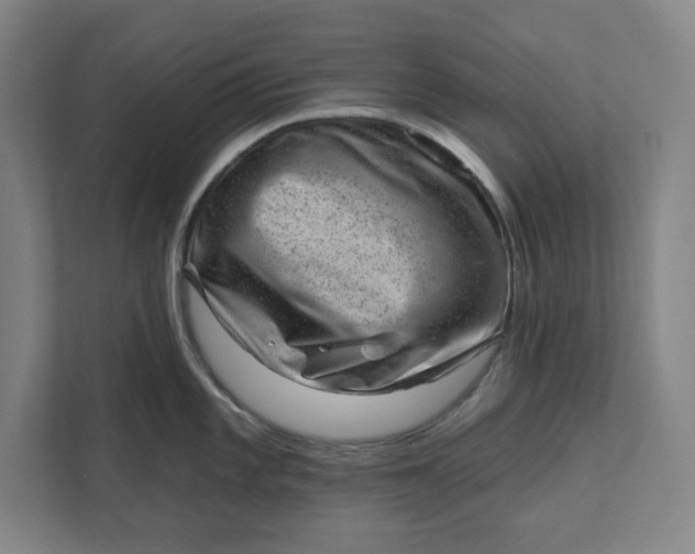 X0000111941101200908101157