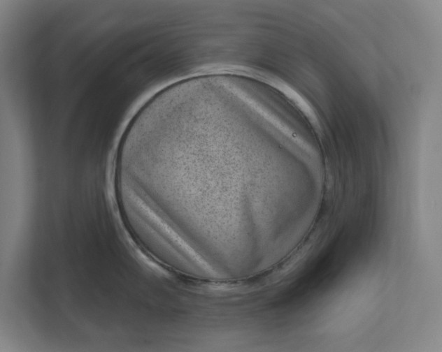 X0000111941102200908101157