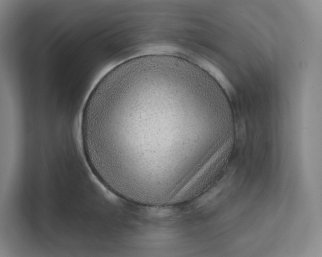 X0000111941103200908101157