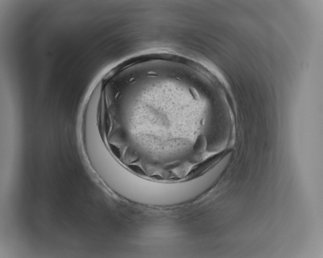 X0000111941104200908101157