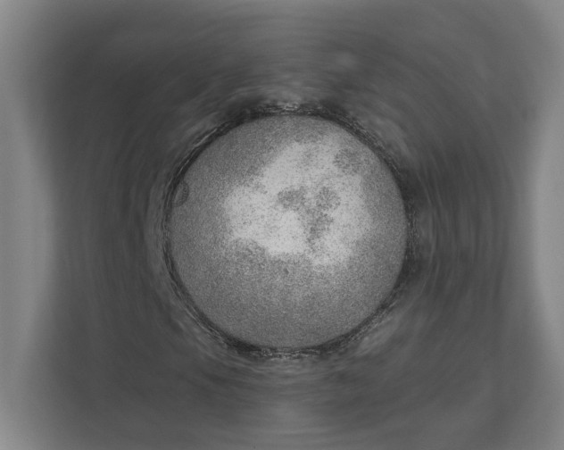 X0000111941105200908101156