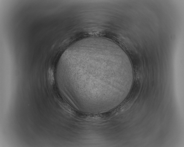 X0000111941106200908101156