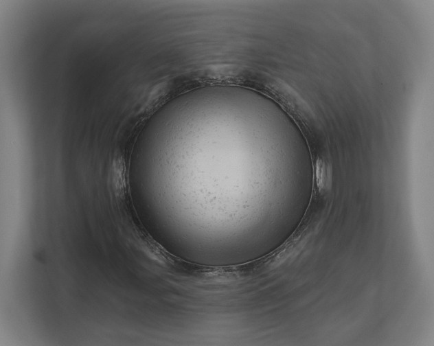 X0000111941107200908101156