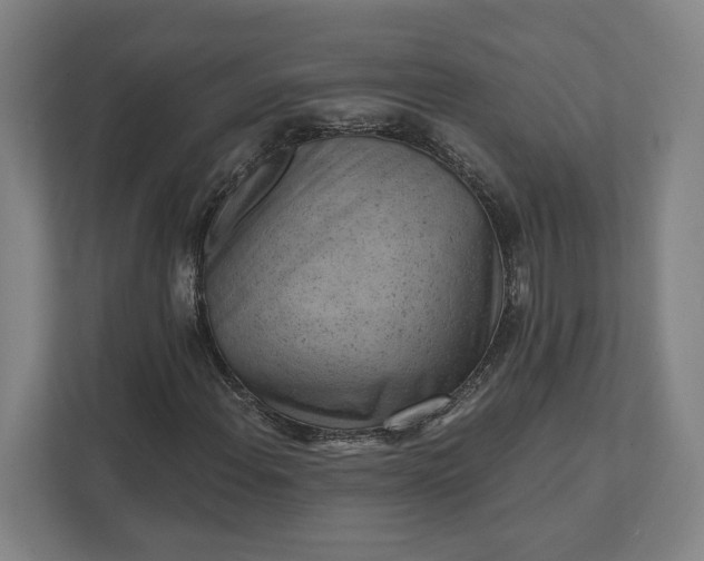 X0000111941108200908101156