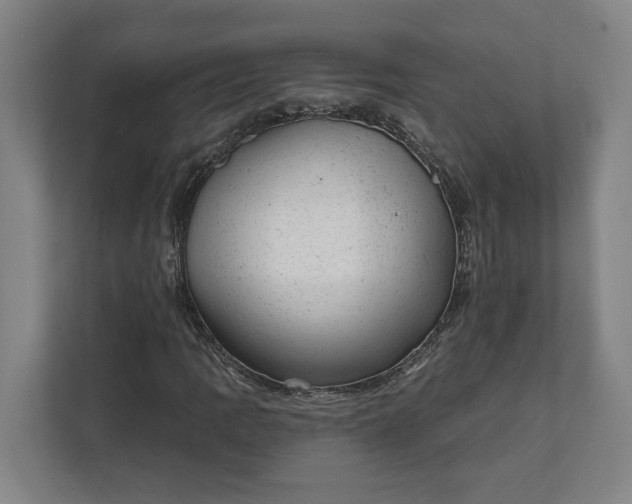 X0000111941109200908101156